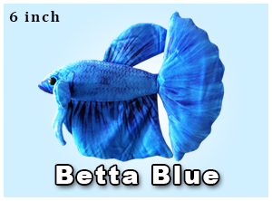 Blue betta plush