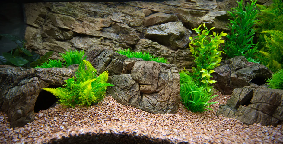 Aquarium backgrounds