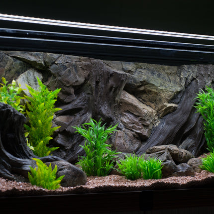 Background aquarium