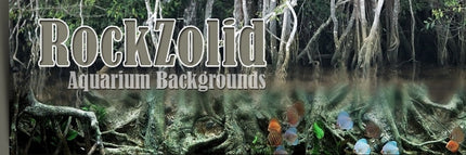 Collection image for: Rockzolid