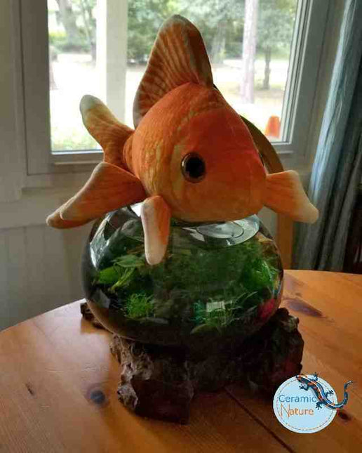 Peluche poisson rouge - Bestseller !