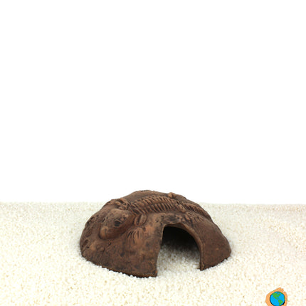 Fossil stone braun