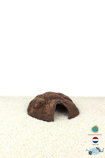 Fossil stone braun