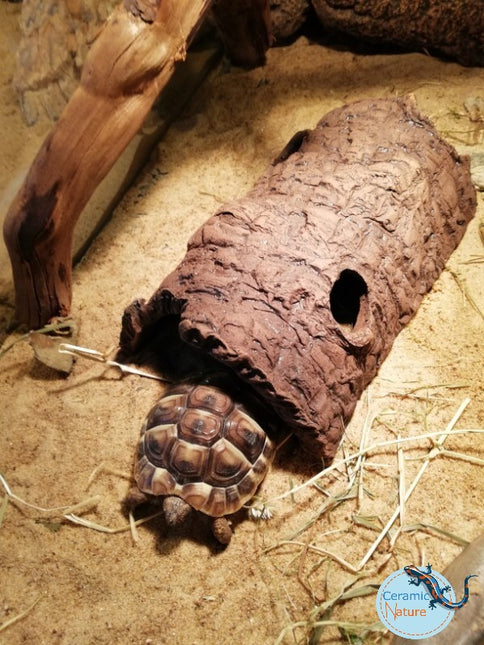 Half-Logs