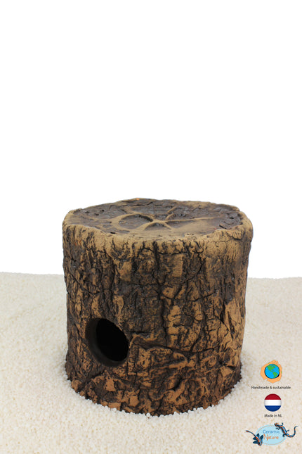 Cichlid caves
