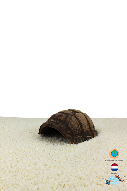 Turtle caves