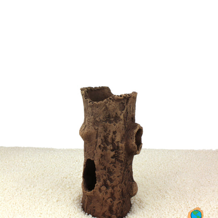Bûche avec branches 