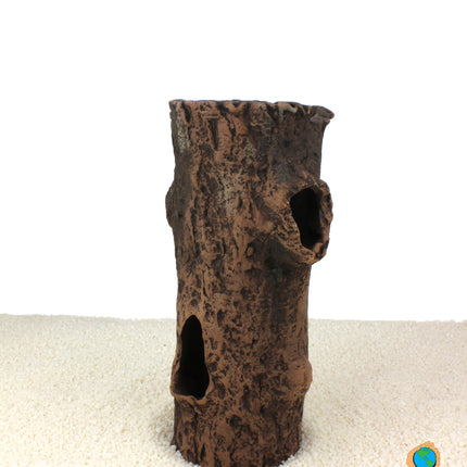 Bûche avec branches 