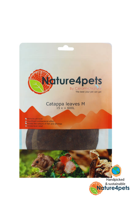 Catappa leaves M 15x