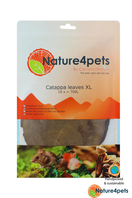 Catappa leaves XL 10x