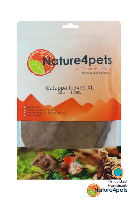 Catappa leaves XL 25x