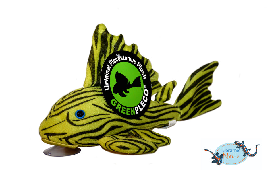 Peluche pleco royale
