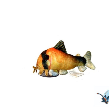 Peluche Metae corydoras