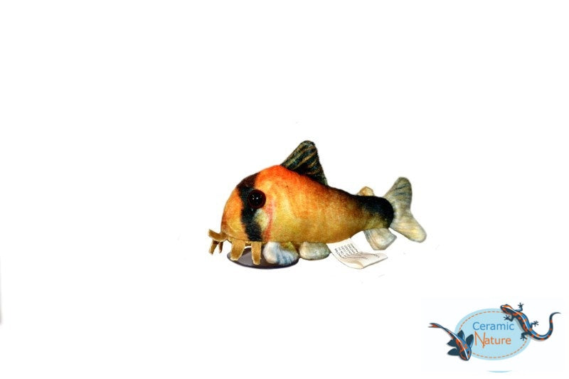 Metae corydoras plush