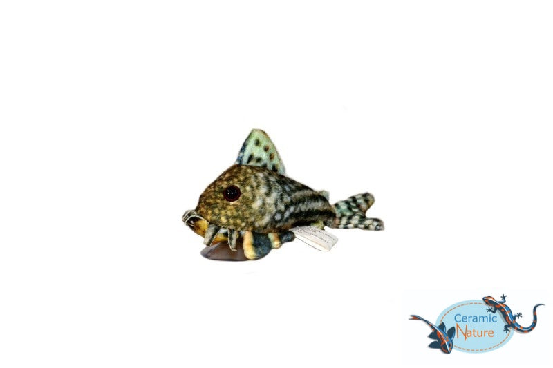 Sterbai corydoras plush