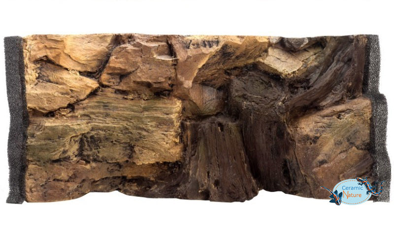 Root Backgrounds