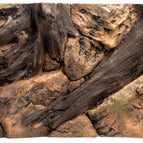 80x40cm