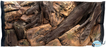 Root-Hintergründe