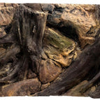 100x50cm
