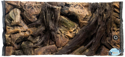 Root-Hintergründe
