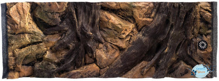 Root-Hintergründe