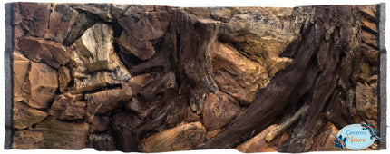 Root-Hintergründe