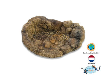 Bassins de terrarium