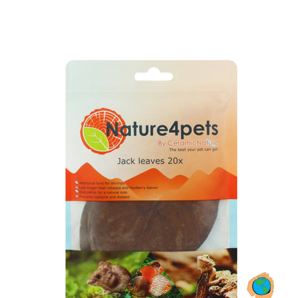 Feuilles de jacquier 20x