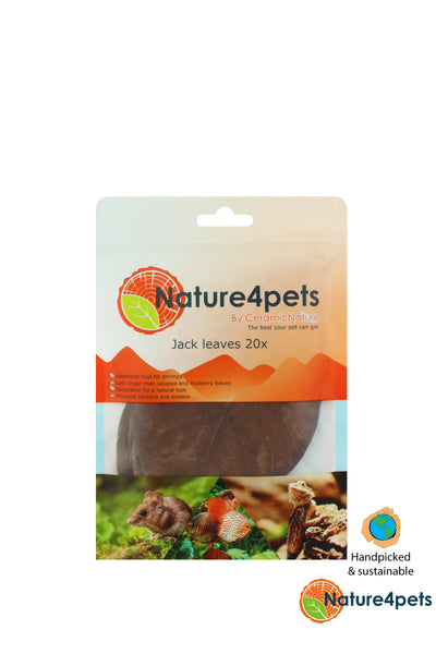 Jackfruit Leaves for Shrimp & Aquariums – 100% Natural (12–19 cm