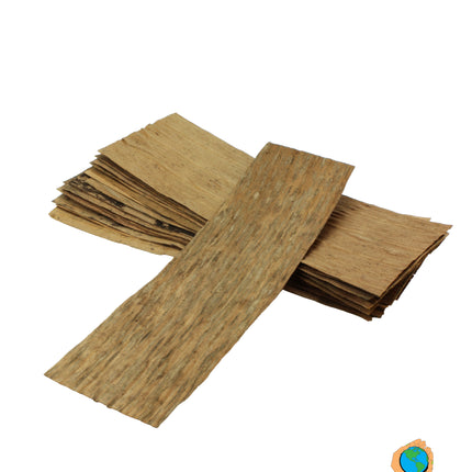 Banana leaves 20x