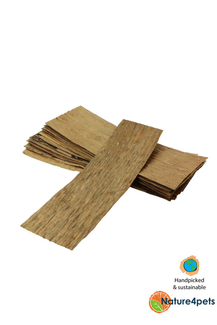 Banana leaves 20x