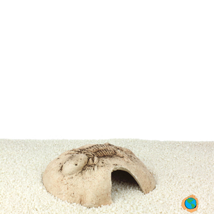 Fossil stone white