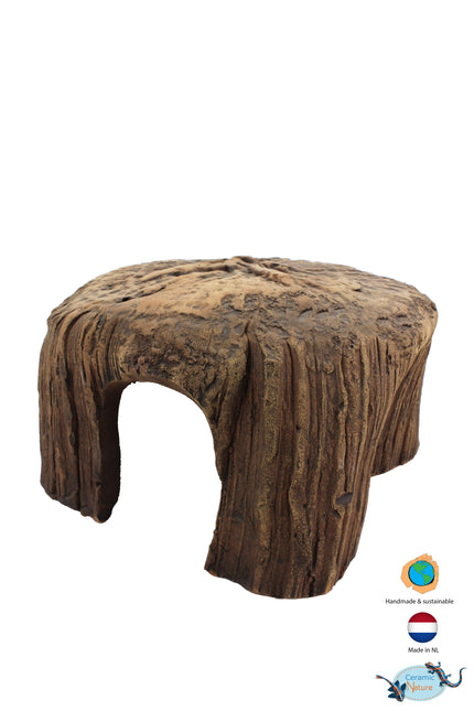 Tree Stump
