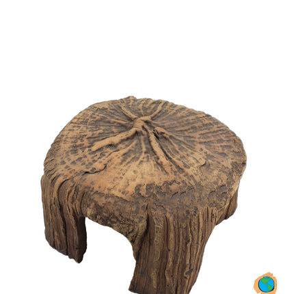 Tree Stump