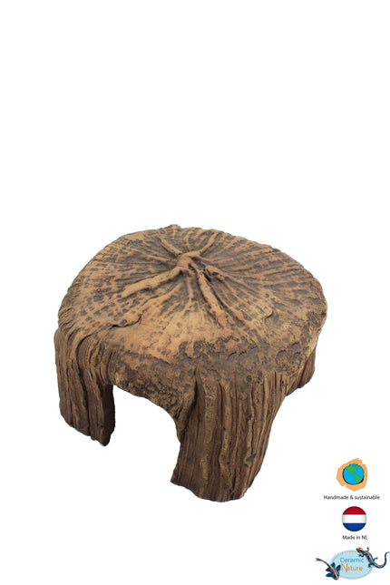 Tree Stump