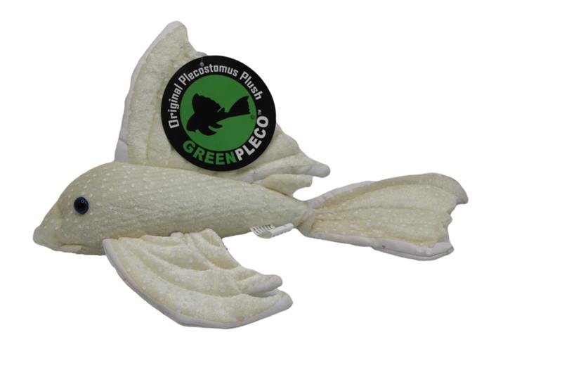 Longfin pleco Greenpleco