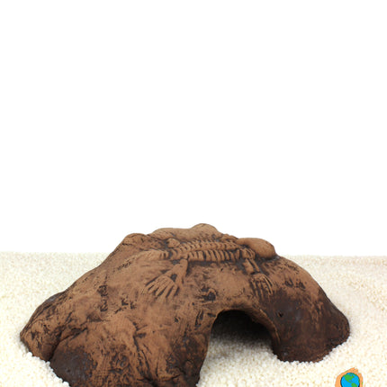 Fossil stone braun
