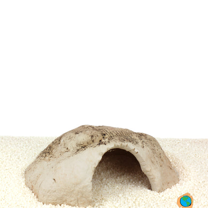 Fossil stone white