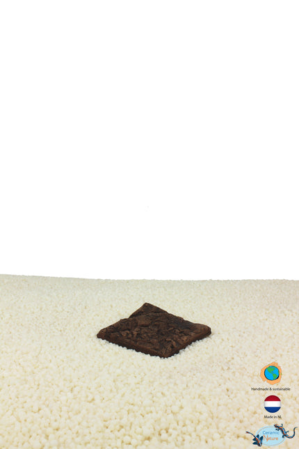 Plant square Xs