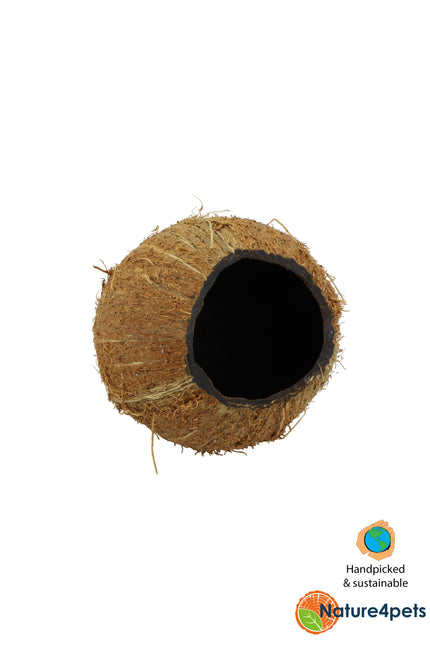 Grotte de noix de coco 3/4