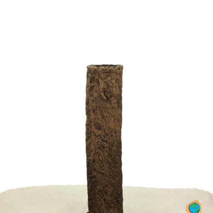 bûche debout