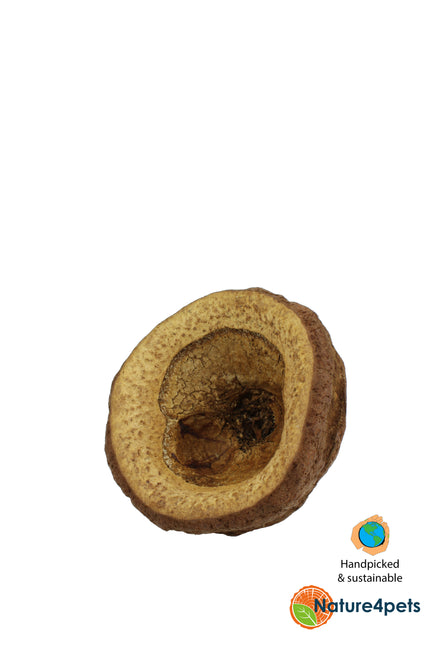 Chapeuzinho pods