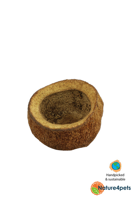 Sapucaia pods XL