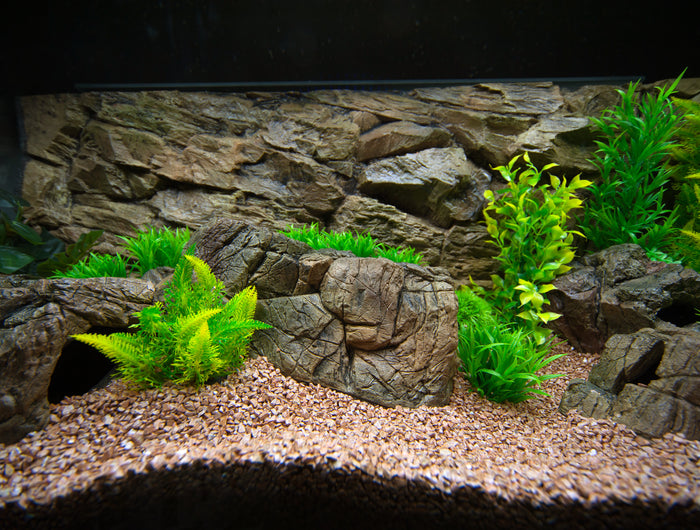 Background rock