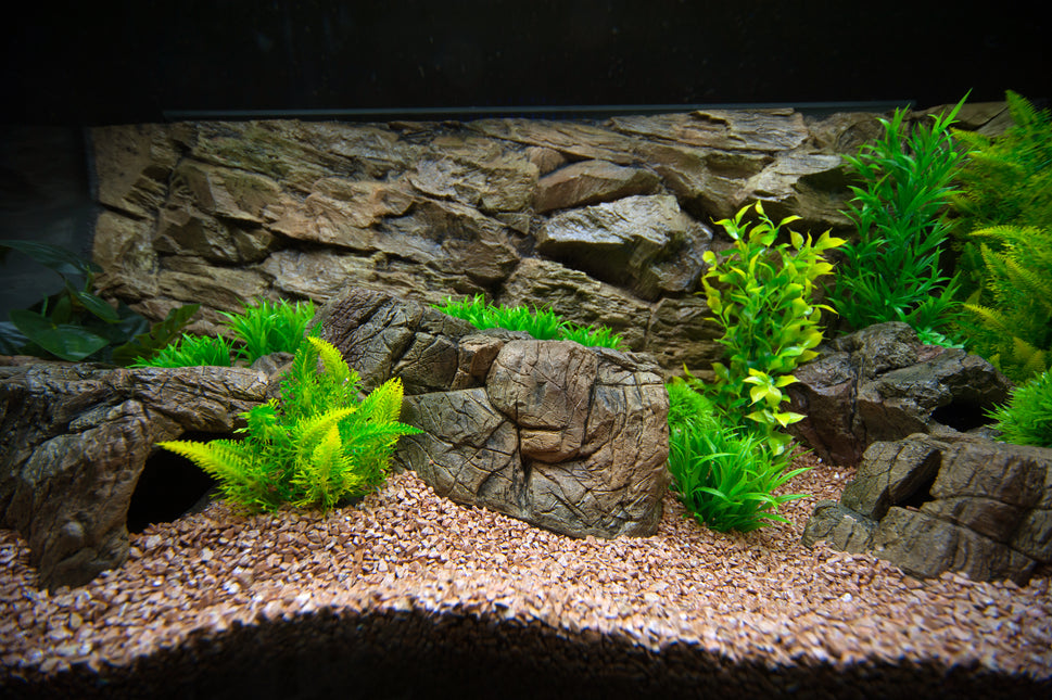 Background rock