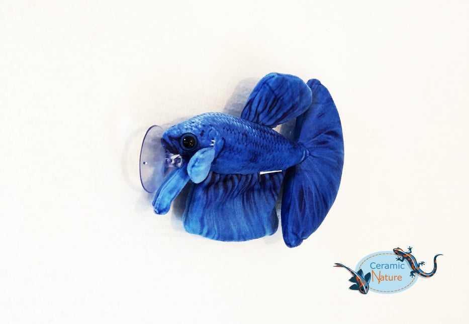 Blue betta plush
