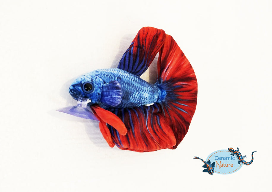 Betta fish plush - Bestseller!