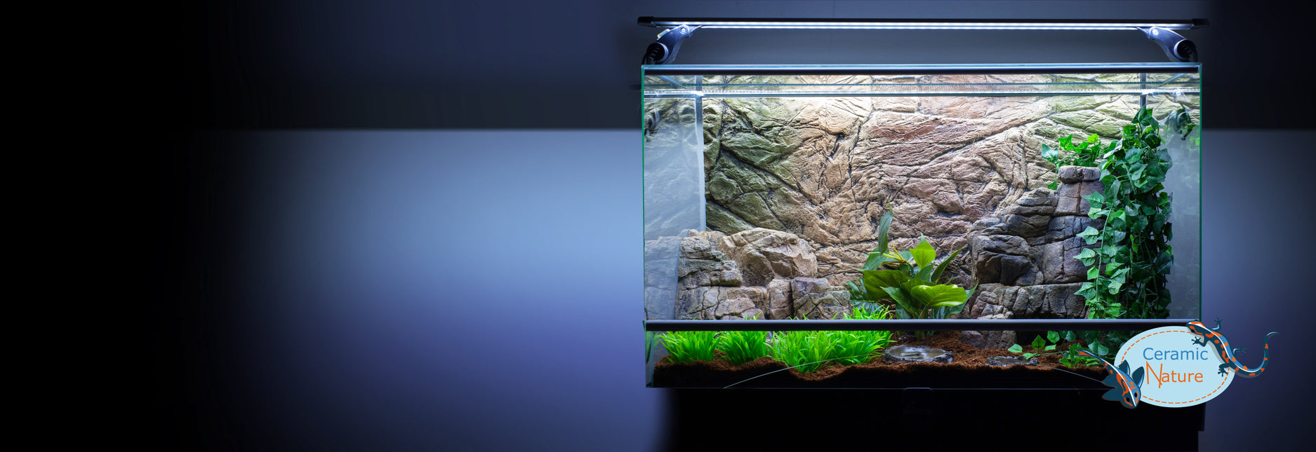 Background terrarium thin