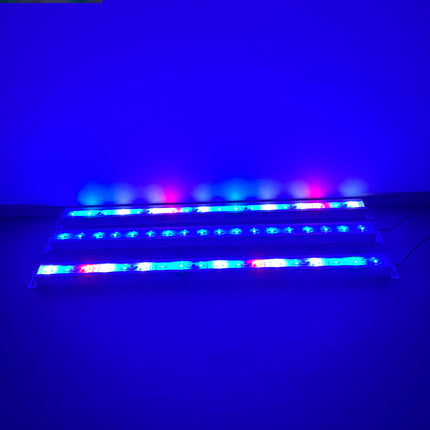 JMB Aqua Led-DSR -Récif -Tout Bleu