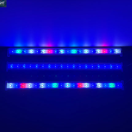 JMB Aqua Led-DSR -Récif -Tout Bleu